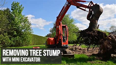 removing trees with a mini excavator|mini excavator push over tree.